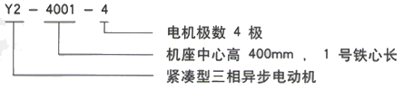 YR系列(H355-1000)高压YJTG-315M-6A/90KW三相异步电机西安西玛电机型号说明